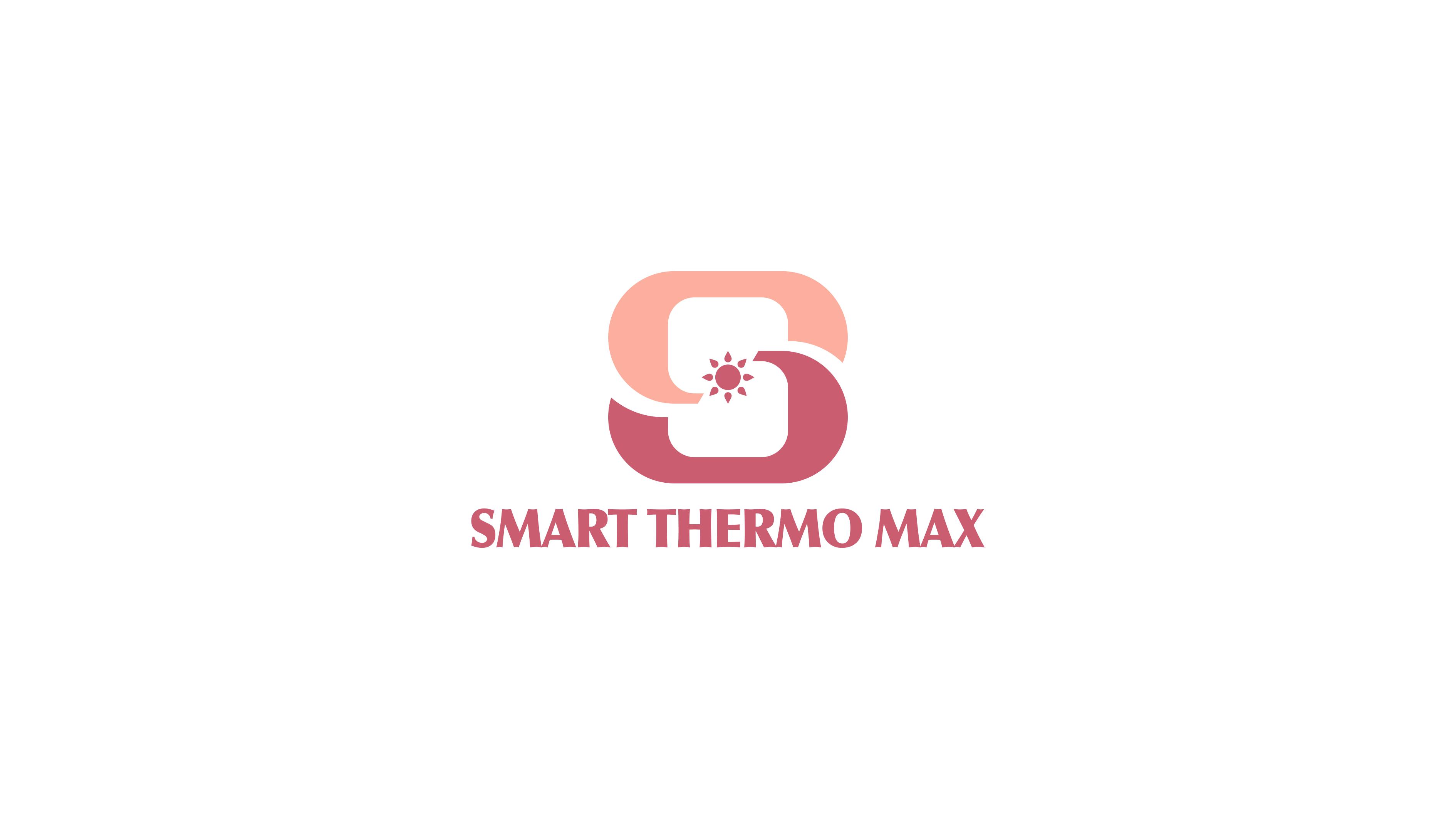 smart thermo max(图1)